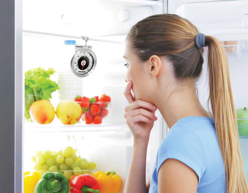 Salter Fridge & Freezer Thermometer 517SSCR