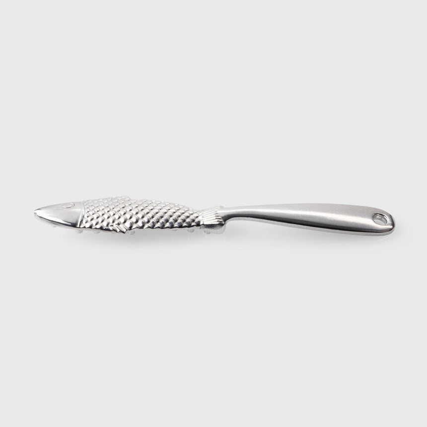 Taylors Fish Scaler 21cm