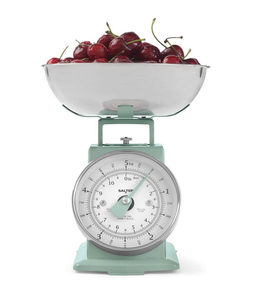 Salter Timeless Mechanical Kitchen Scale Sage SA00562S