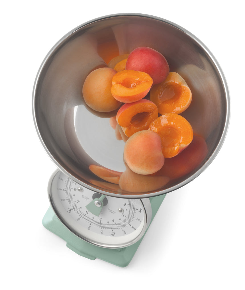 Salter Timeless Mechanical Kitchen Scale Sage SA00562S